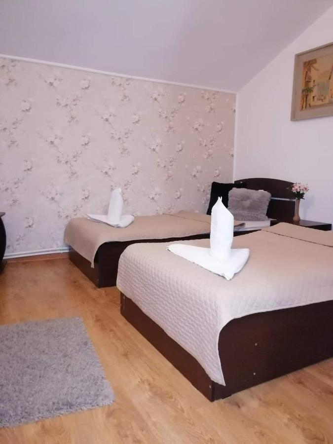 Casa Regala Ear Hotel Craiova Kültér fotó