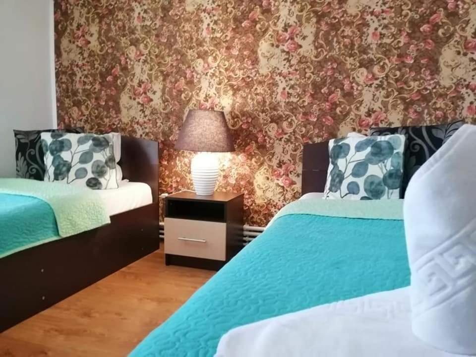 Casa Regala Ear Hotel Craiova Kültér fotó