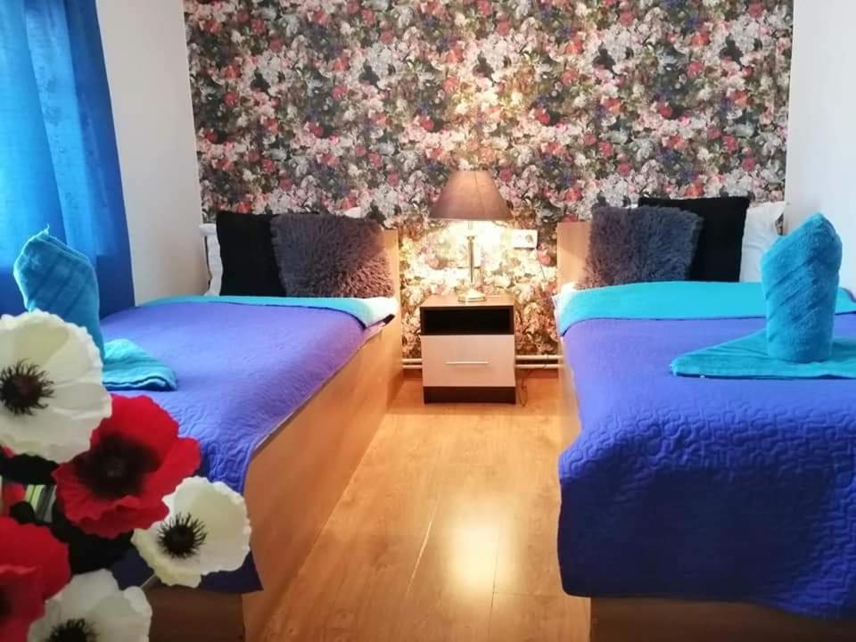 Casa Regala Ear Hotel Craiova Kültér fotó