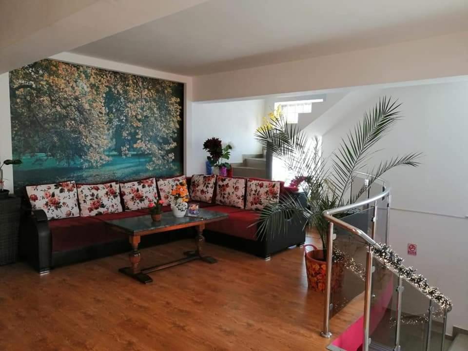 Casa Regala Ear Hotel Craiova Kültér fotó