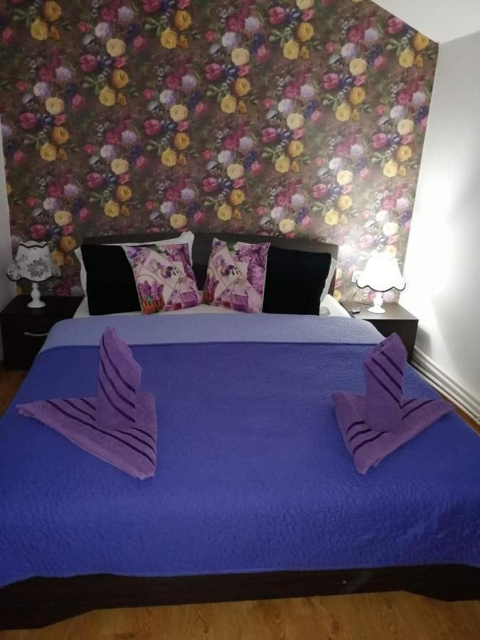 Casa Regala Ear Hotel Craiova Kültér fotó
